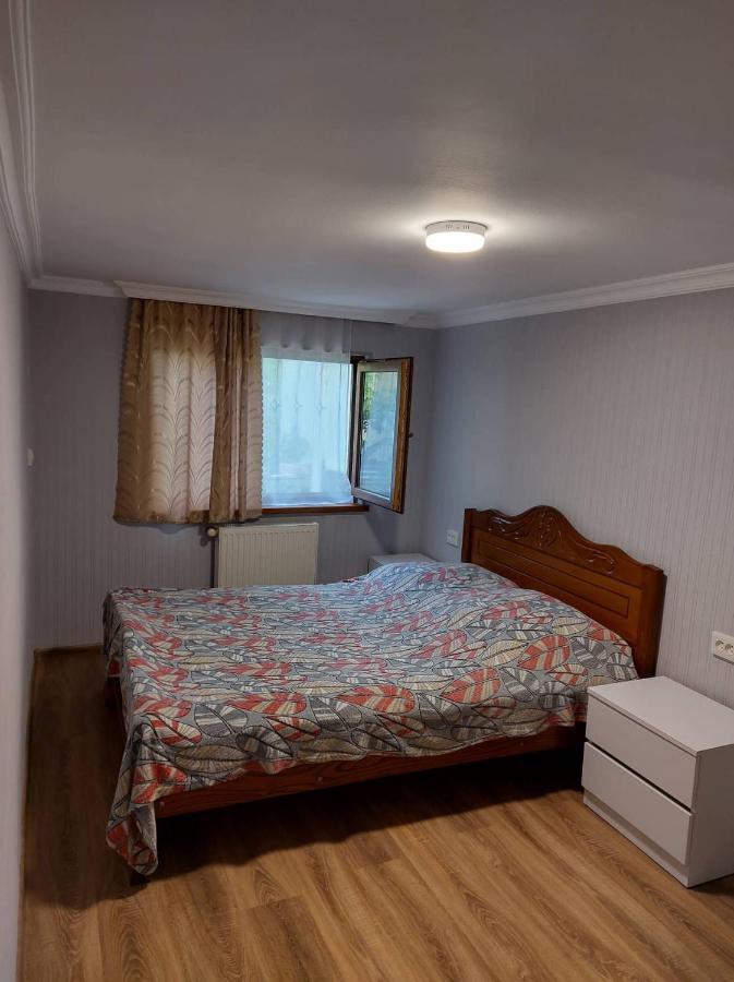 Davids Entire Place 보르조미 외부 사진